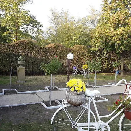 Apartman I Sobe Nikolas Palić